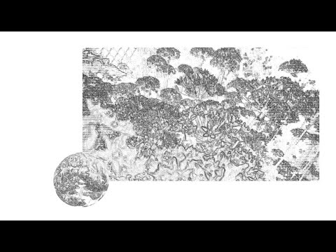 Navi99 - Bud (Official Visualizer)