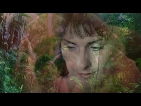 The memory of trees - Enya