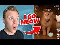 World S Best Singing Pets