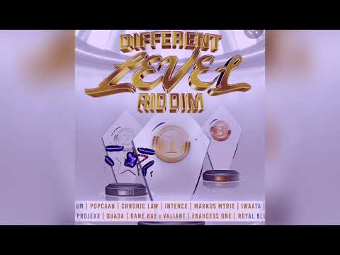 Different Level RIDDIM   Mix Clean  full promo