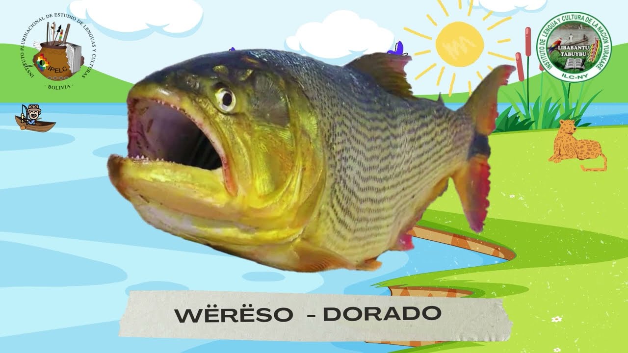 Conozcamos los peces en tabuybu yurujare