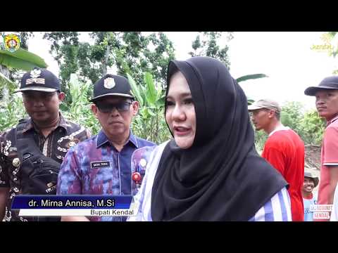 AKSES JALAN CIPLUK TERPUTUS BUPATI MIRNA SIAPKAN JALAN ALTERNATIF