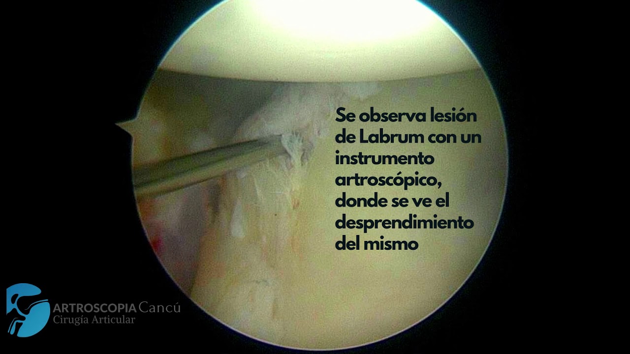 Fernando Ortiz Romero-19