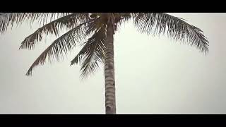 Download lagu Lagu Acara Timur ( Sa janji trakan mabuk mabuk lagi) viral tiktok mp3 Download lagu Lagu Acara Timur ( Sa janji trakan mabuk mabuk lagi) viral tiktok mp3