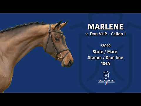 Holsteiner Frühjahrsauktion 2023 | Nr. 111 Marlene