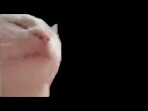 Infiltrating The Airship Theme but only the good part (Toppat Clan Theme)