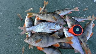 Зимняя рыбалка на озере татыш