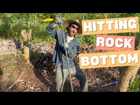 Planting trees in rocks! Syntropic Agroforestry