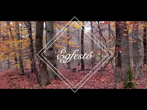 Fellegi Anna - Égfestő