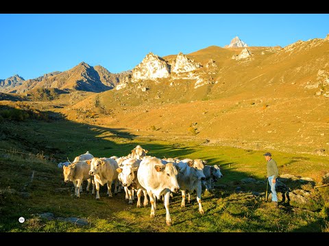 La Mia Fotografia presenta: La Transumanza di Fabio Barreri