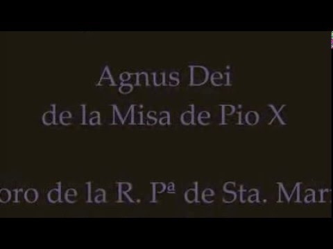Vilaseca Agnus Dei Pio X CM 26 III 2016