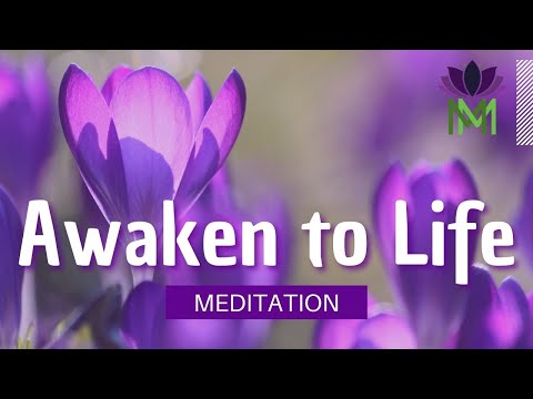 Awakening Fully to Life by Embracing Emotions | 20 Minute Mindfulness Meditation | Mindful Movement
