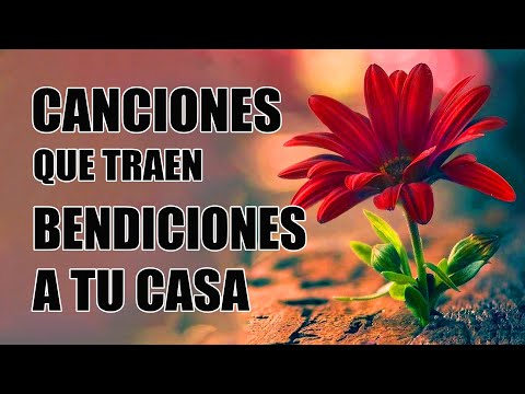 LA CANCIÓN CRISTIANA MÁS HERMOSA DEL MUNDO 2023 - CANCIONES QUE TRAEN BENDICIONES A TU CASA