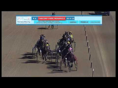 TABCORP PK MENANGLE - 30/04/2016 - Race 6 - AUSTRALIAN PACING GOLD (2YO FILLIES) (FINAL) (…