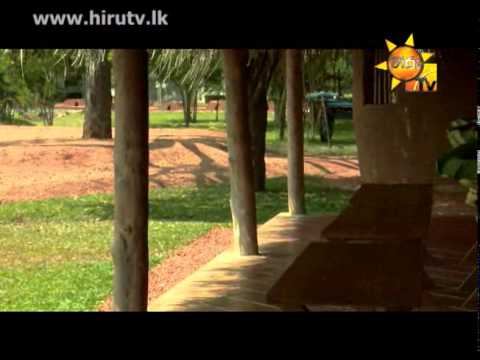 Hiru TV