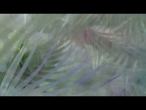 O the Deep, Deep Love of Jesus