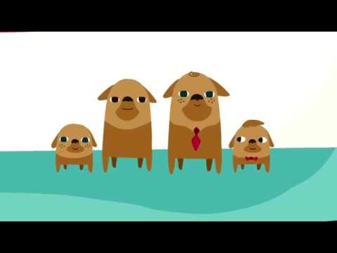 Sophia-Vereeniging - Rashonden 2017 | Voice-over Jop Wijlacker