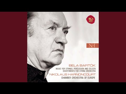 Divertimento for String Orchestra, BB 118, Sz. 113: III. Allegro assai