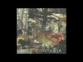 Bell Orchestre - Throw It On A Fire