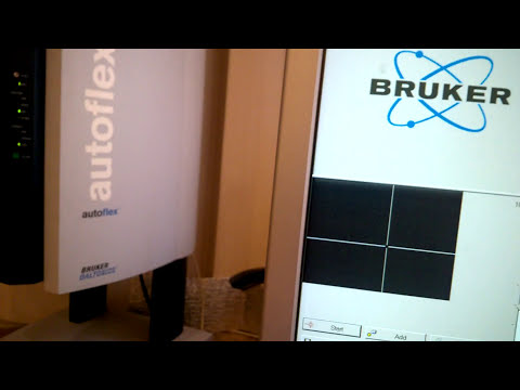 MALDI-ToF Autoflex II