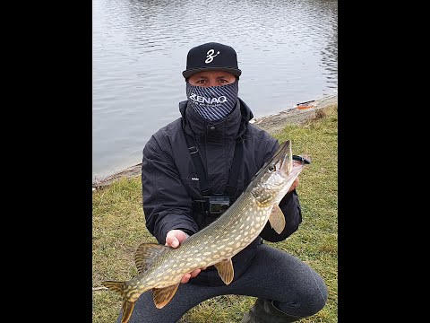 Suatu cu surprizele lui.#ZENAQ #VARIVAS #DECOY