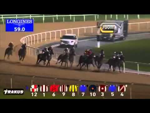 31.12.2014 Meydan (Dubai.UAE) 3.Race EGA Casthouse Trophy - Handcap  1.600 m