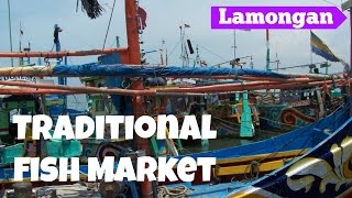 preview picture of video 'Brondong Market Fish - Lamongan - East Java'