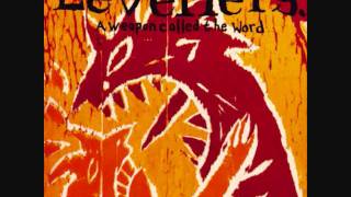 World Freak Show - Levellers