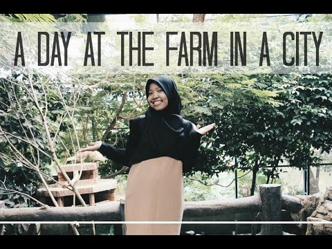 a day at the farm in a city | IZDIHAR HARIFFIN