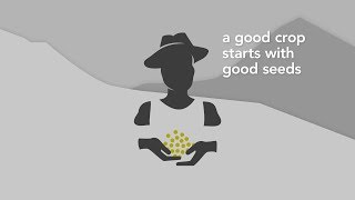 Introducing the Access to Seeds Index