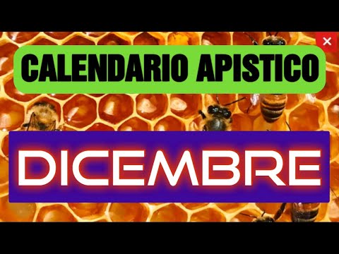 , title : 'Apicoltura CD: Calendario apistico, lavori di Dicembre'