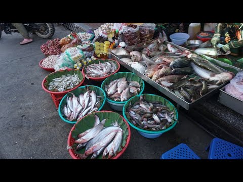 Morning Daily LifeStyle of People Buying Food @Phsa Kilo 7 - Morning Kilometers Seven Street Market