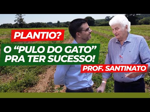 As DICAS para PREPARO DO SOLO para PLANTAR CAFÉ, com o PROF. SANTINATO, que é a MAIOR REFERÊNCIA...