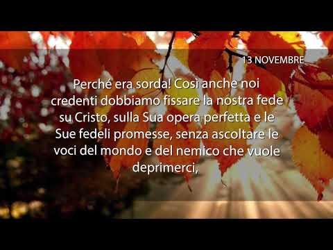 Meditazione del 13 Novembre 2017 “LO SGUARDO SU GESÙ”