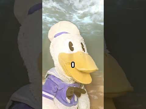 Donald Ducc Didn't Know This Will Happen