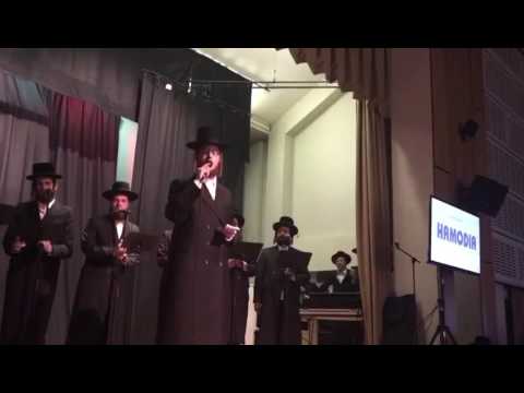 Avrum Mordche Schwartz "ich hub givart"