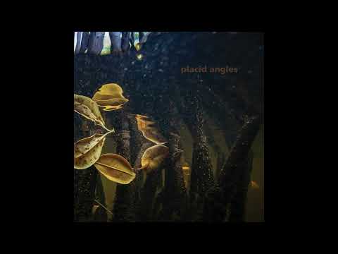 Placid Angles - Beauty Begins With Us (Feat Malibu And Baby Blue)