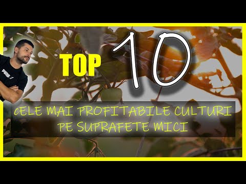 Cele mai Profitabile 10 Culturi pe Suprafete Mici