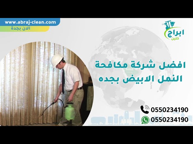 شركة مكافحة النمل الابيض بجدة