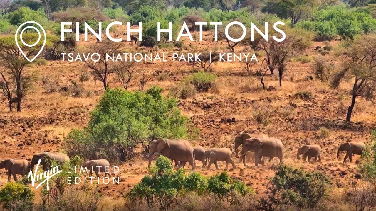 Live webcam view of Finch Hattons Wildlife Camera, Tsavo