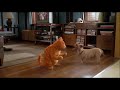 Garfield La Película Garfield Odie Bailan Juntos