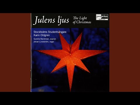 I Juletid: I juletid