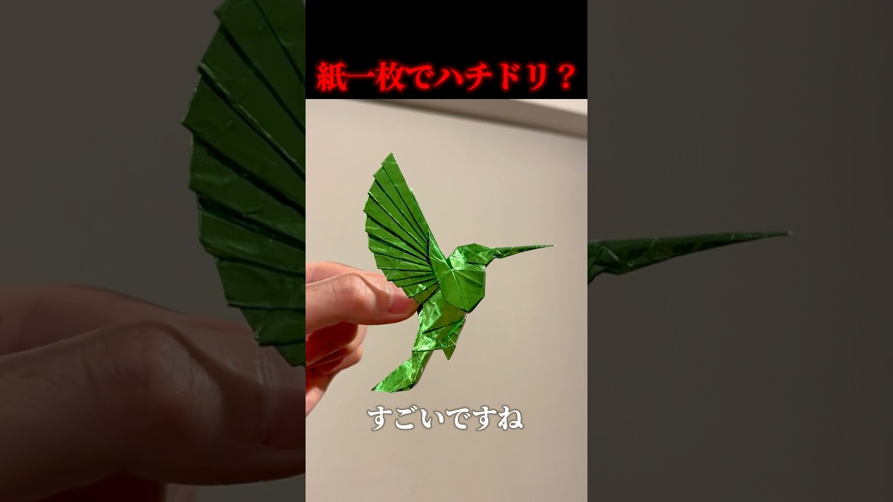 ハチドリ折ってみた / Makimg Hummingbird! #折り紙 #ハチドリ #メイキング