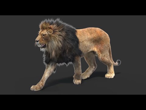 download lagu mp3 mp4 Promax 3d Max, download lagu Promax 3d Max gratis, unduh video klip Promax 3d Max