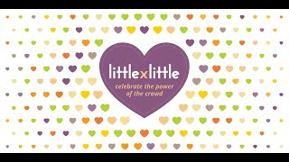 September 2020 Little by Little Campaign Overview
