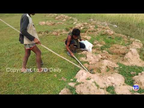 2 Brave Children Catch Big Snake With Bare Hand