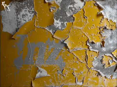 Inz (zwr) - ostatnia salva