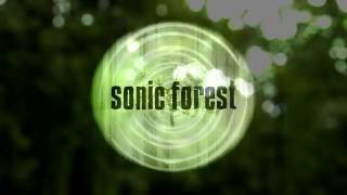 Video thumbnail for Sonic Forest: Experimental Granular Instrument (Supports Charity) by zirconst