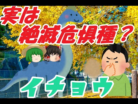 IUCN分類における絶滅の危険性を示す図。