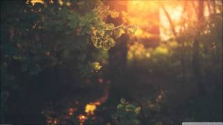 D Brown ft. Dab - Say Hello